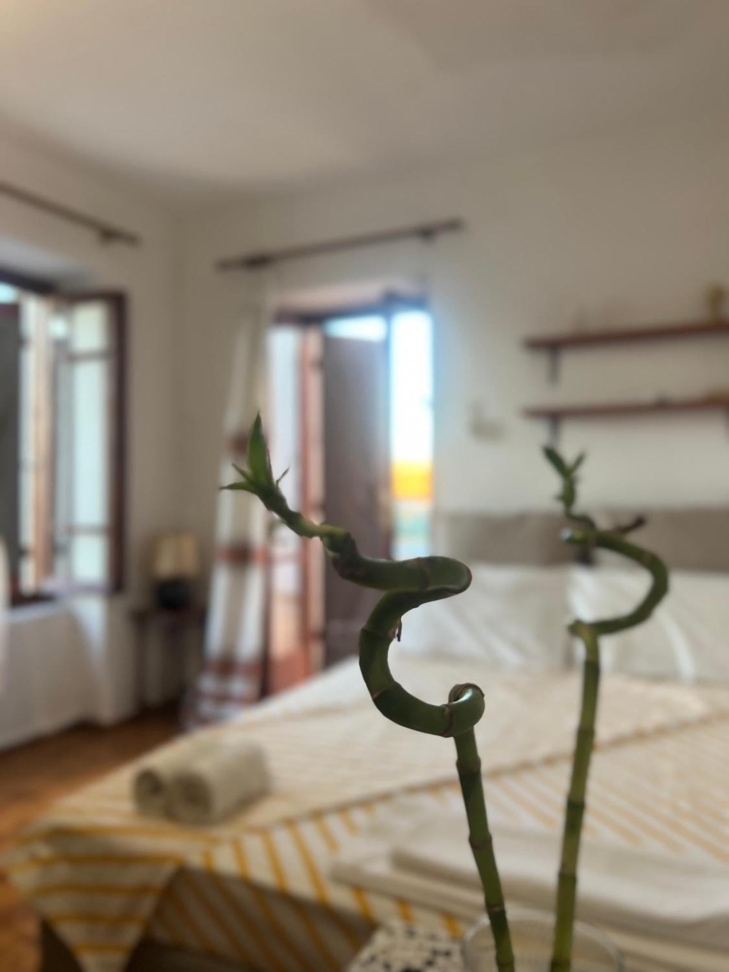 Village House Petalou المظهر الخارجي الصورة